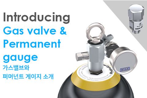 Introducing HGV-B01/HAPG-L01